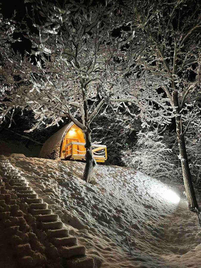 Апартаменты Glamping Jezero Чачак Экстерьер фото